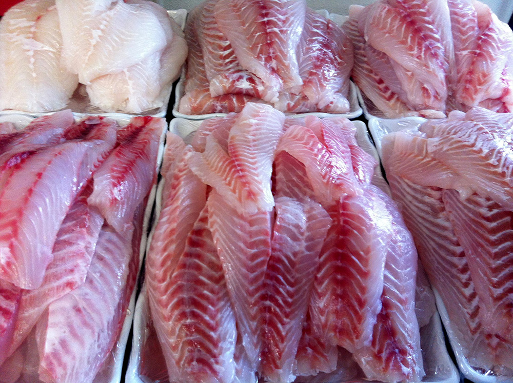 Seafood Photos from Shellys Seafood and Fish Market Homosassa